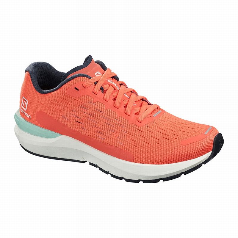 Zapatillas De Running Salomon Mujer Marrones / Blancas - Salomon Argentina SONIC 3 BALANCE W ,740238